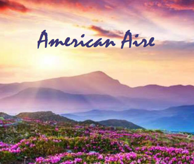 American_aire